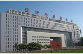 遼寧中醫藥大學互聯網專線及電信綜合接入